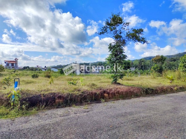 හොරණ නගරය ආසන්නයෙන් අගනා බිම් කඩක්