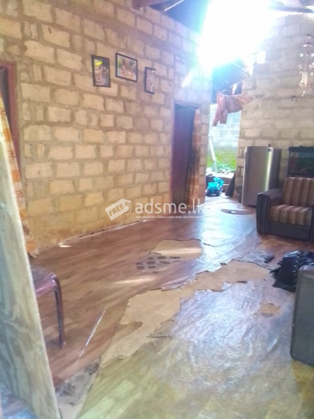 ඉක්මනින් විකිනිමට