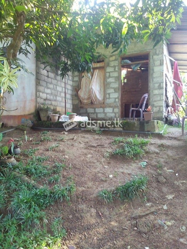 ඉක්මනින් විකිනිමට