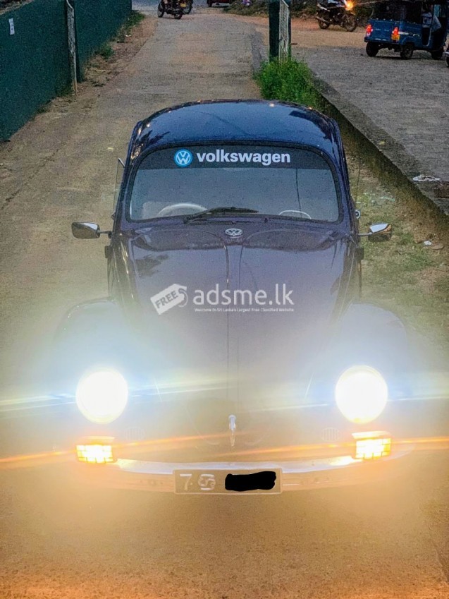Volkswagen Beetle 1969 (Used)