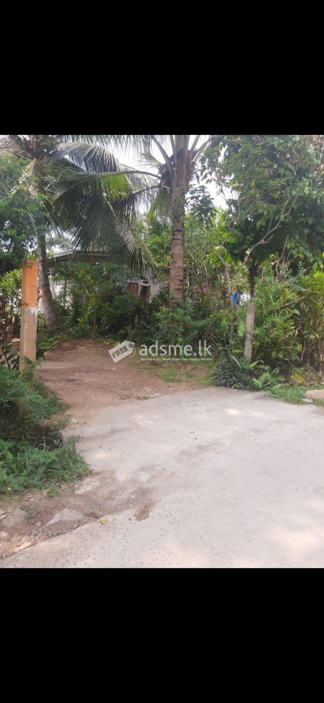 A land with a home near Medical College Ragama