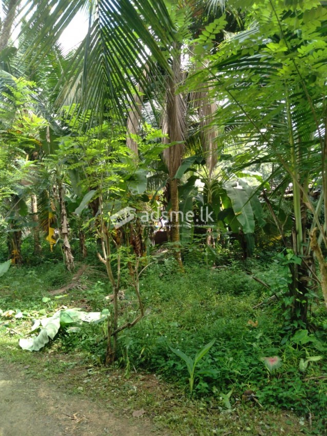 Land for sale in Athurugiriya