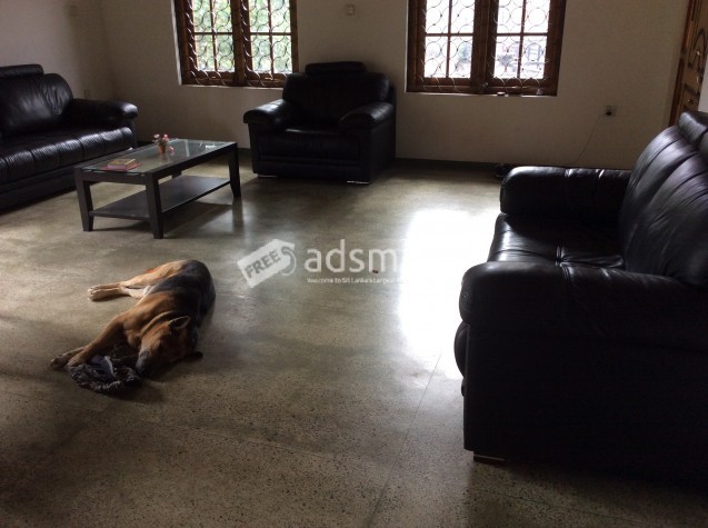Gorgeous house for rent in kandy, aniwatta road