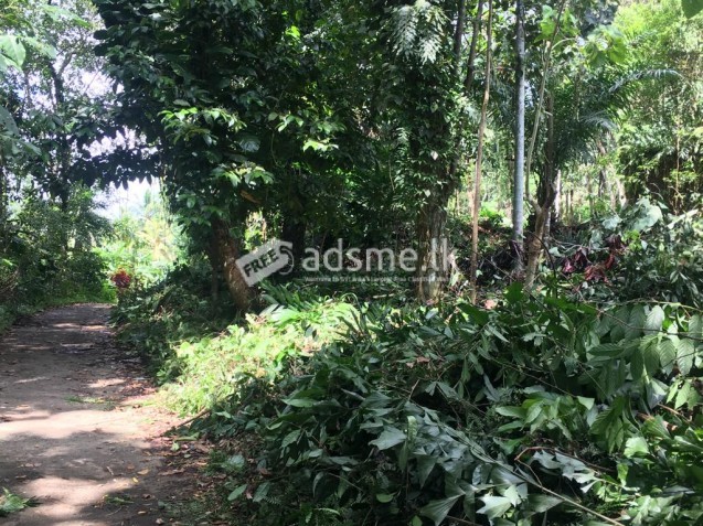 LAND FOR SALE IN WARAKAGODA