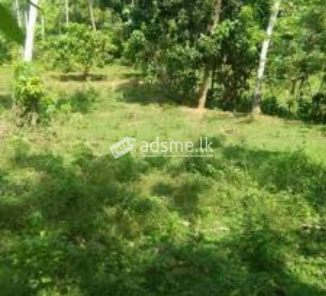 Best land for sale