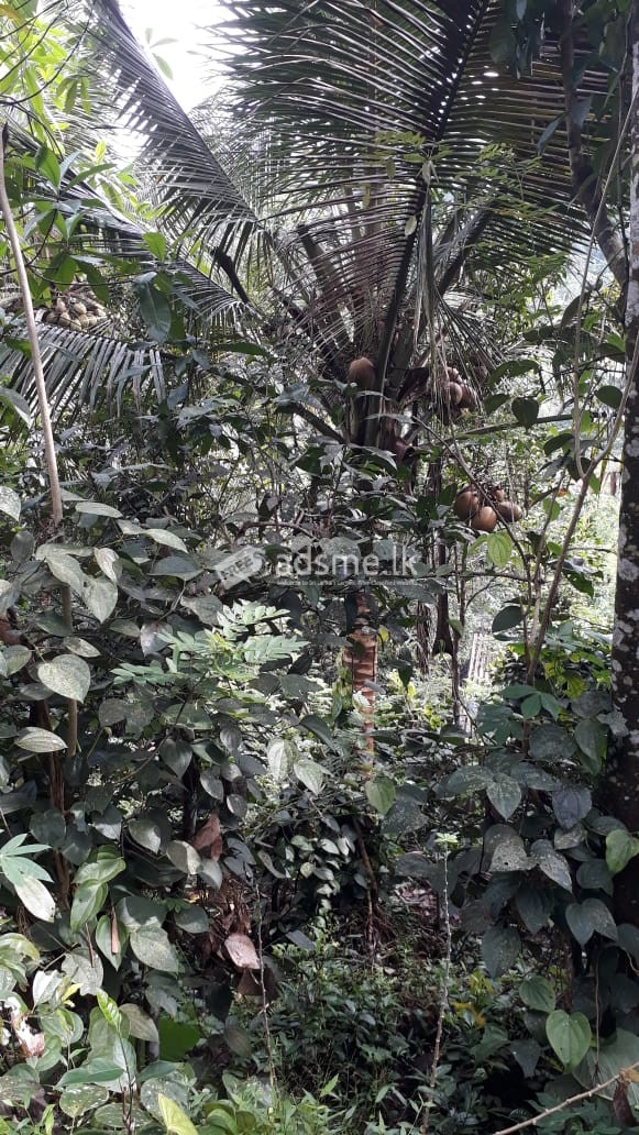 House for Sale at Bulathsinhala
