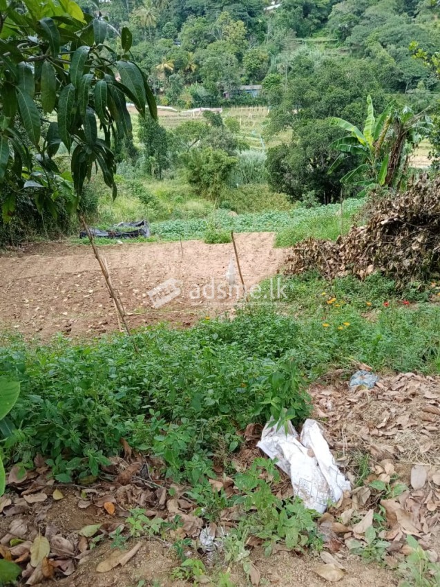 A land with constructed home including Electricity and Water for sale near welimada