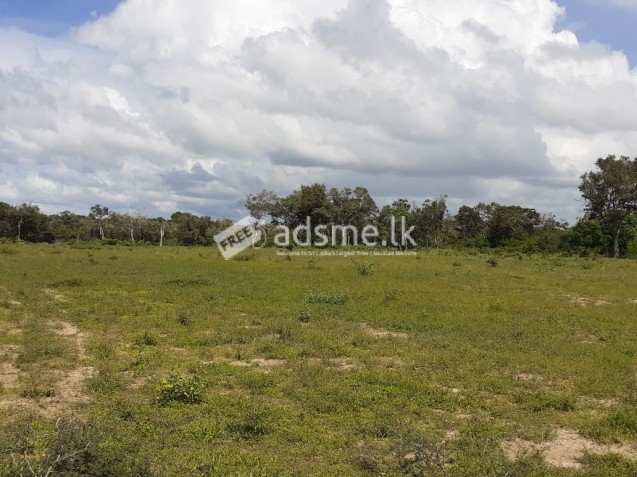 2 acre river front land for sale at Elavankulam near Wilpattu