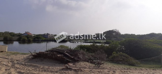 10 acres beach front land sale at Alankuda, kalpitiya
