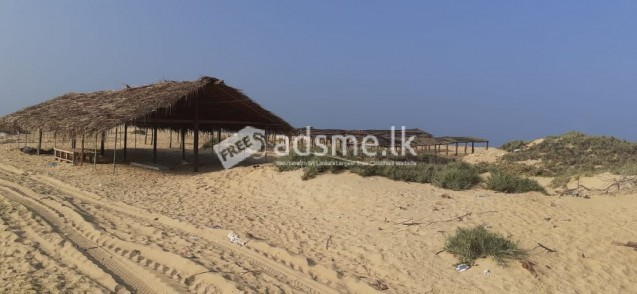 10 acres beach front land sale at Alankuda, kalpitiya