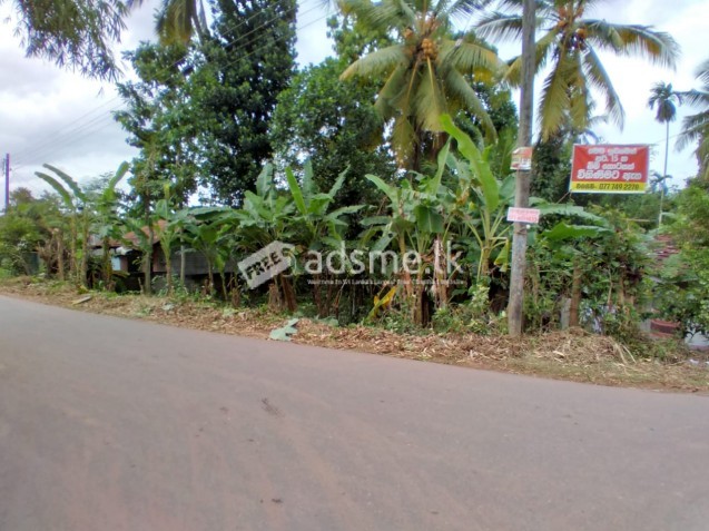 main Road face land for sale