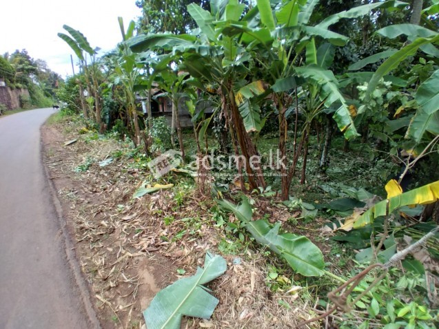 main Road face land for sale