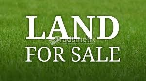Land for Sale in Nittambuwa