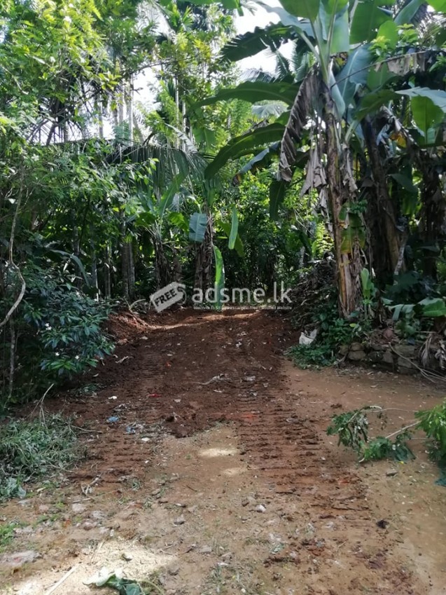 Land for sale in Imaduwa, Galle