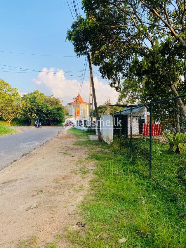Land For Sale In Anuradhapura Town