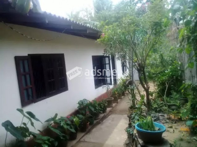 House for sale in Gampola ,Kandy -40 Lakh