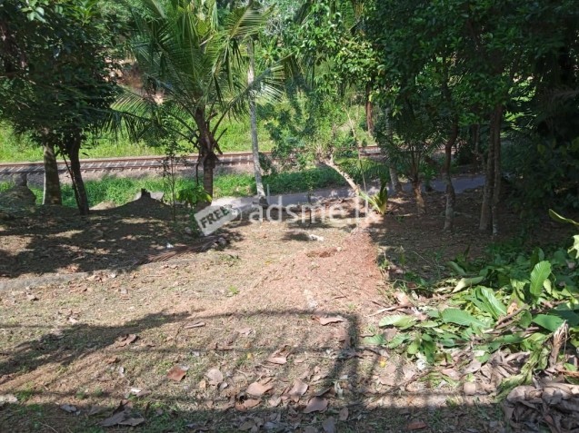 Land for sale in Richmond Hill- Galle