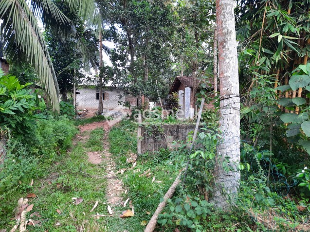 Land with Small House for Sale