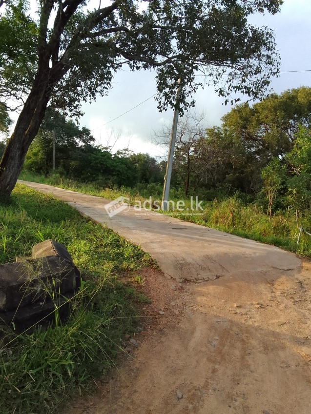 Sigiriya View  Land For Sale / සිගිරිය පෙනෙන අගනා ඉඩම විකිණීමට