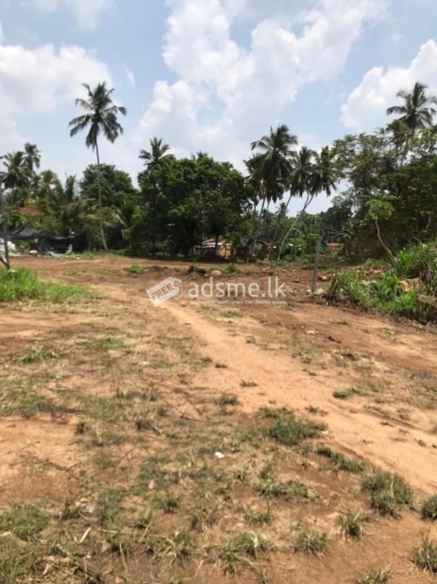 Land for sale in Divulapitiya