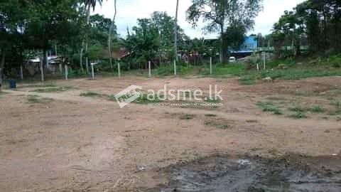 Land for sale in Divulapitiya