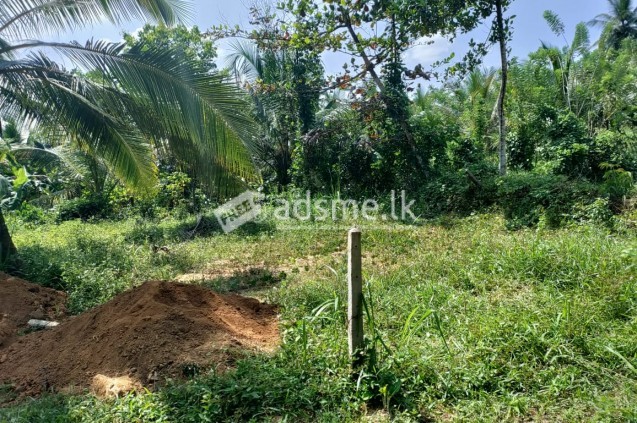 Land for sale near to Thalagala main road