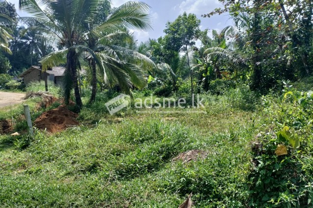 Land for sale near to Thalagala main road