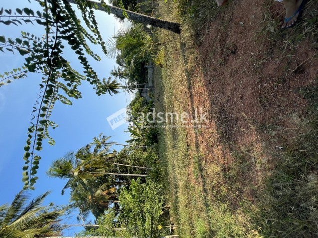 Residential land for sale!