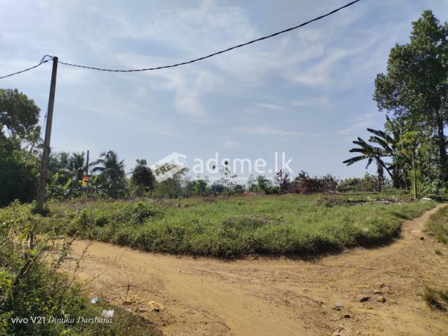 Land for Sale in Poruwadanda - Horana