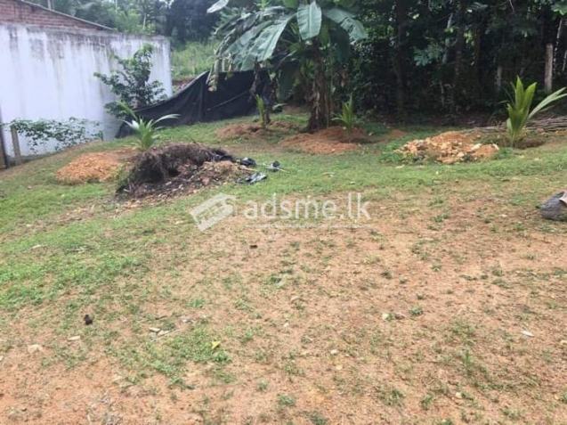 Land for sale 20 perch land plots
