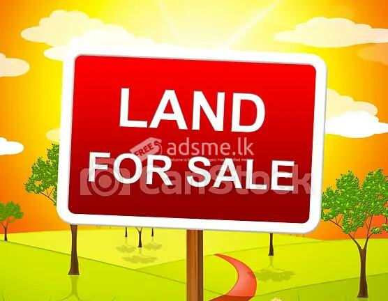 Land for sale in malabe