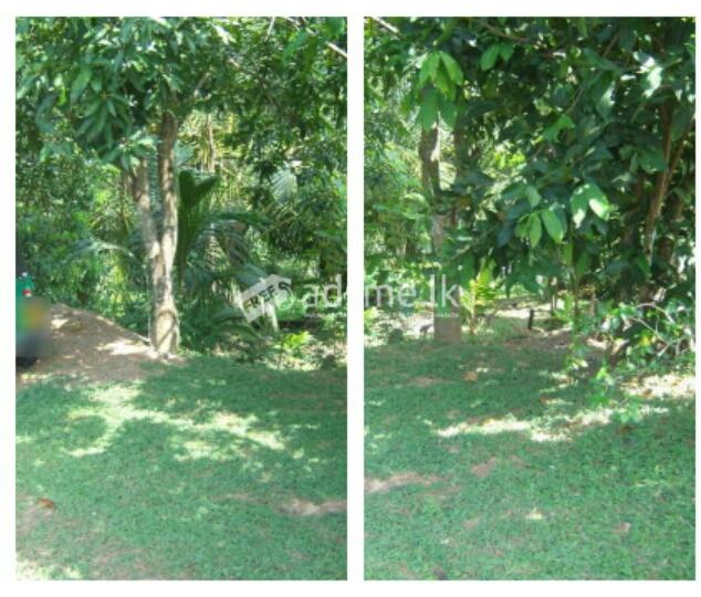 Land for Sale: Fullerton Estate Nagoda Kalutara