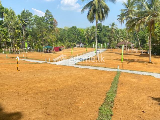 Land for sale Meewanapalana