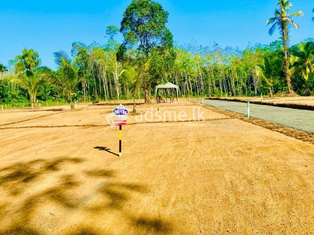 Land for sale Horana ;