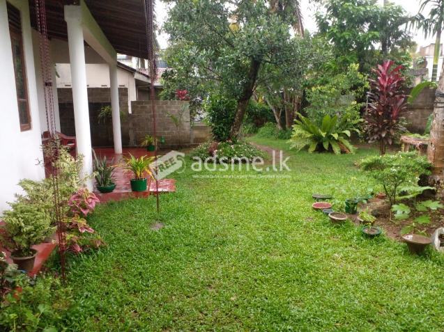 Land for sale In Ragama