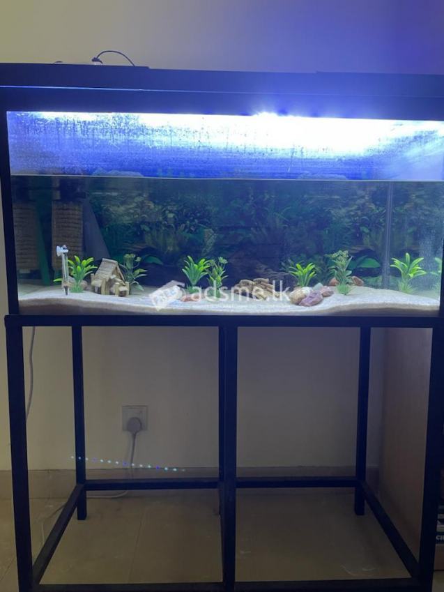 Fish Tank for sale Stand