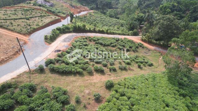 Land for sale in Neboda