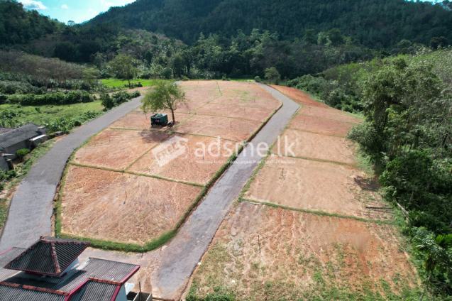 Superb Plots - 20 Min To Horana