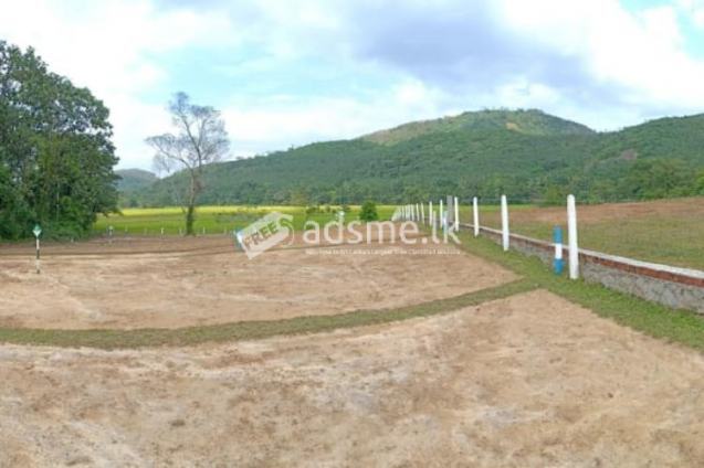 Land for sale in Neboda,Warakagoda