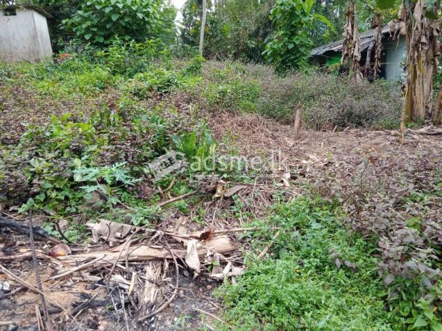 Land in dompe for sale