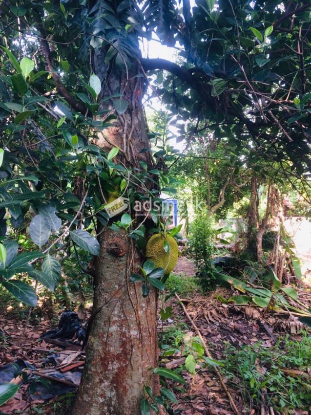 Land for immediate sale at kadawatha webada