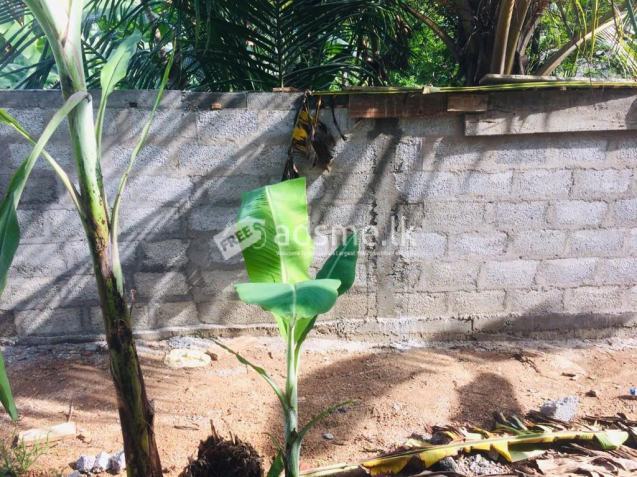 Land for immediate sale at kadawatha webada