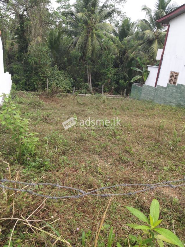 Land For Sale In Horana -Kumbuka