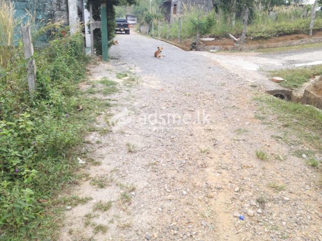 Land For Sale In Horana -Kumbuka