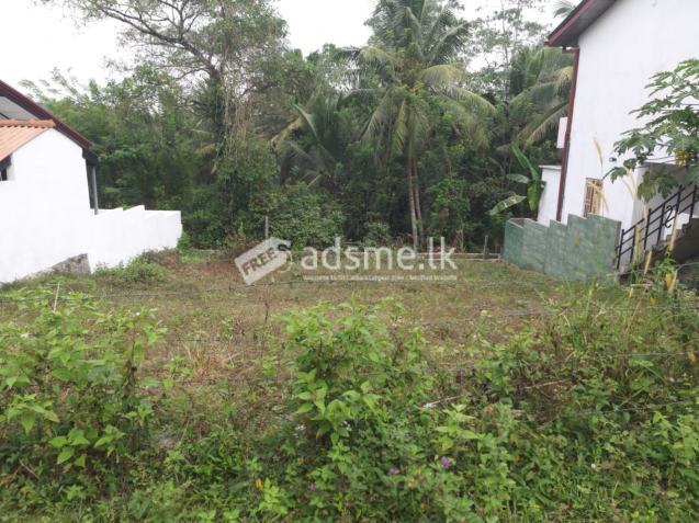 Land For Sale In Horana -Kumbuka