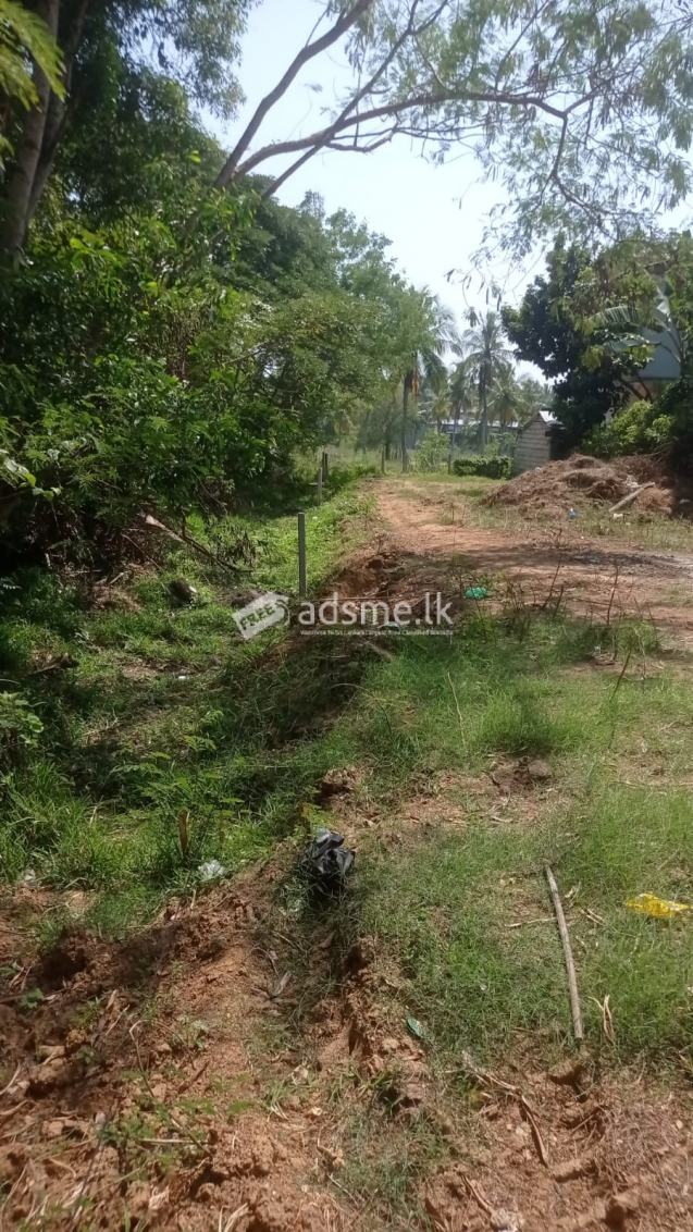 Commercial Land for sale in Ambalantota