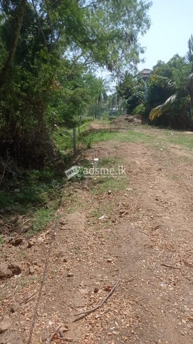 Commercial Land for sale in Ambalantota
