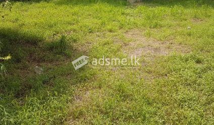 Land for Sale or Lease at Wattala
