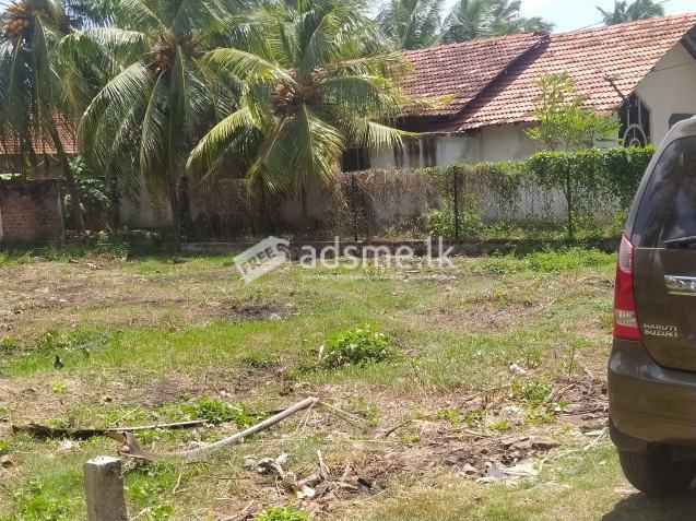 Land for sale in Chilaw (Behind the base hospital)