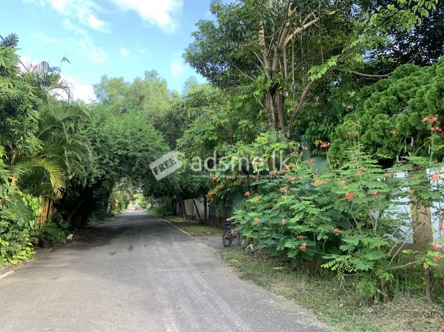 Land for Sale in Near Kiribathgoda Town